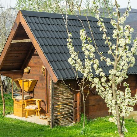 Willa Djurdjevina Family Farm Kolašin Zewnętrze zdjęcie