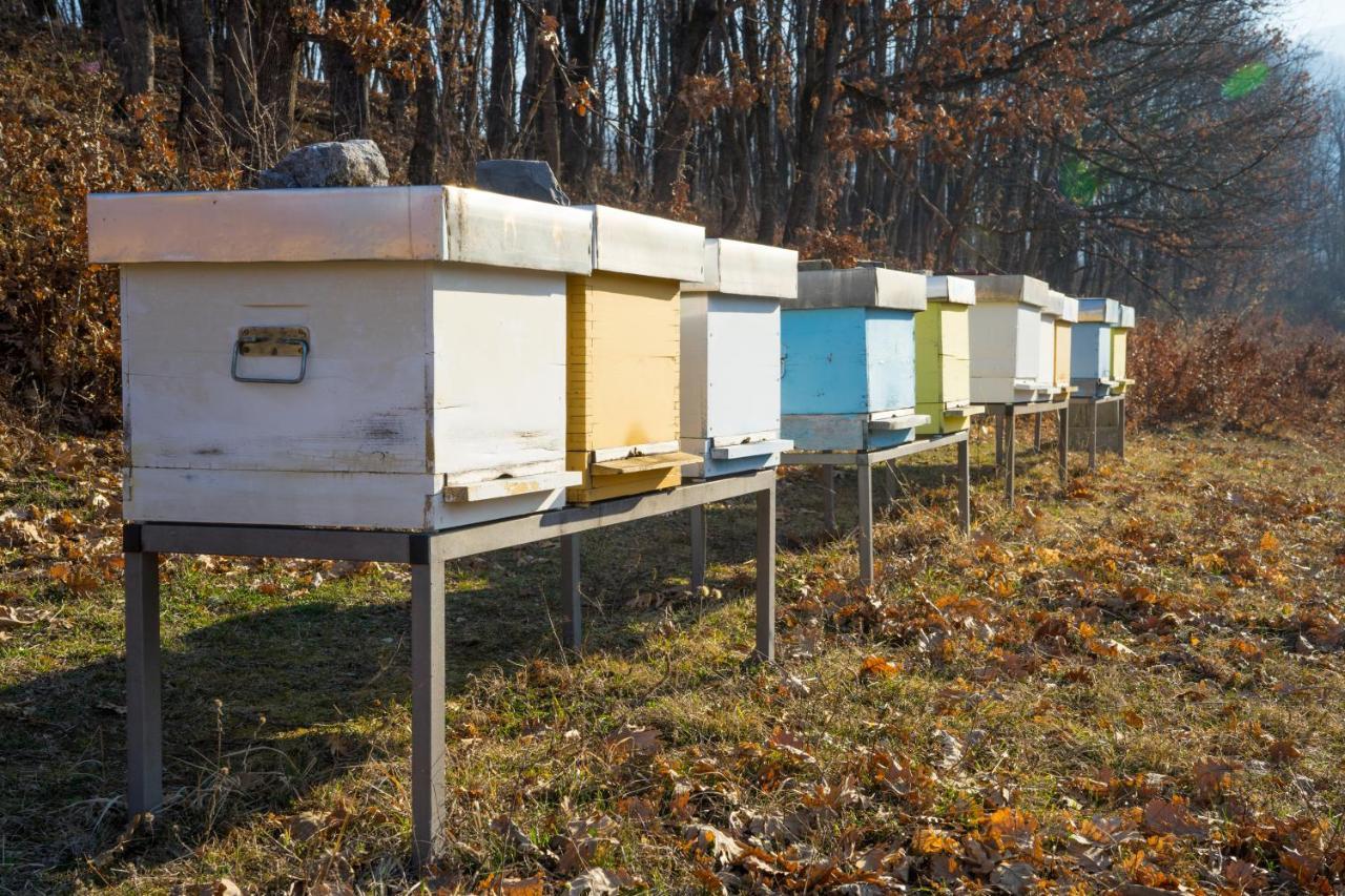 Willa Djurdjevina Family Farm Kolašin Zewnętrze zdjęcie