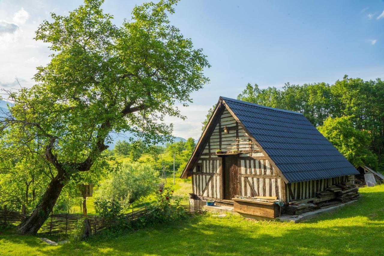 Willa Djurdjevina Family Farm Kolašin Zewnętrze zdjęcie