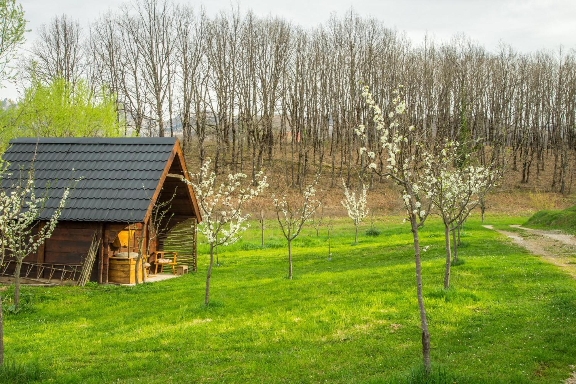 Willa Djurdjevina Family Farm Kolašin Zewnętrze zdjęcie