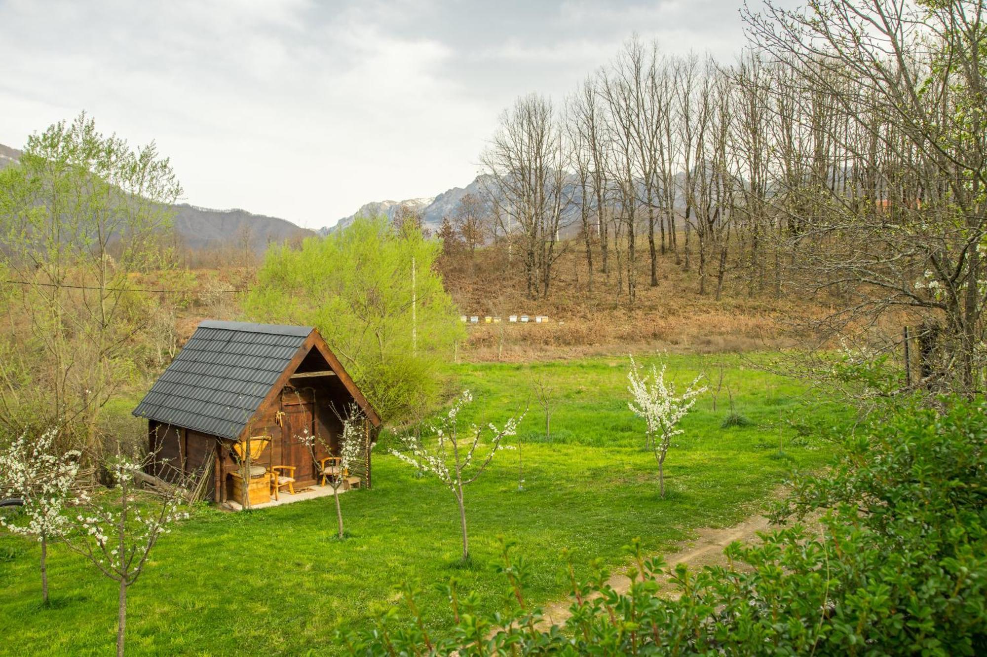 Willa Djurdjevina Family Farm Kolašin Pokój zdjęcie