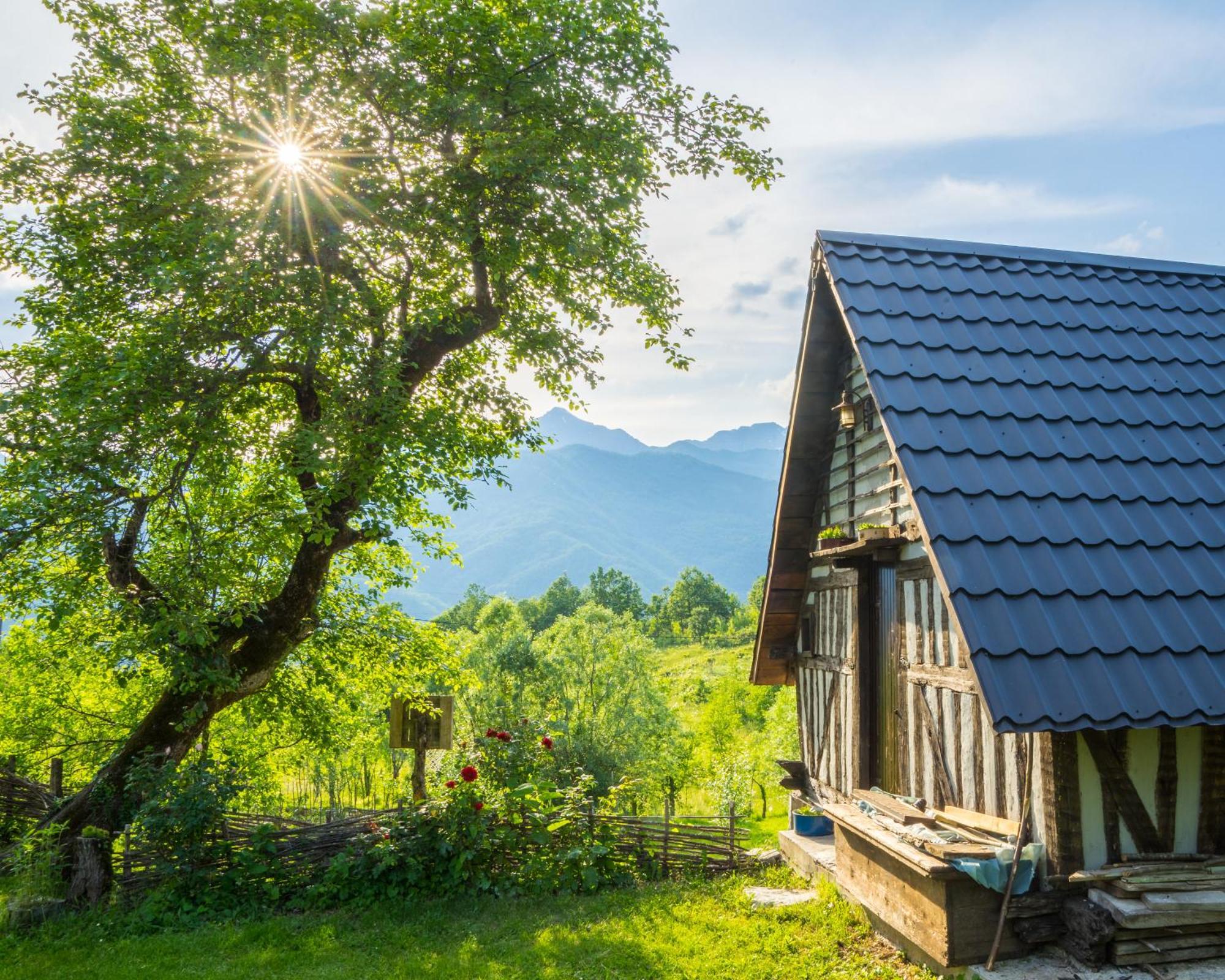 Willa Djurdjevina Family Farm Kolašin Pokój zdjęcie